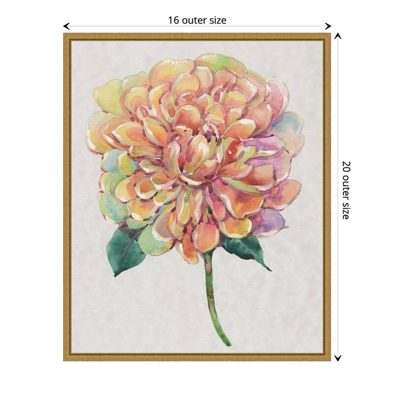 Multicolor Floral Peony I by Tim O'Toole (16 x 20 in.), Framed Canvas Wall Art Print - Sylvie Gold