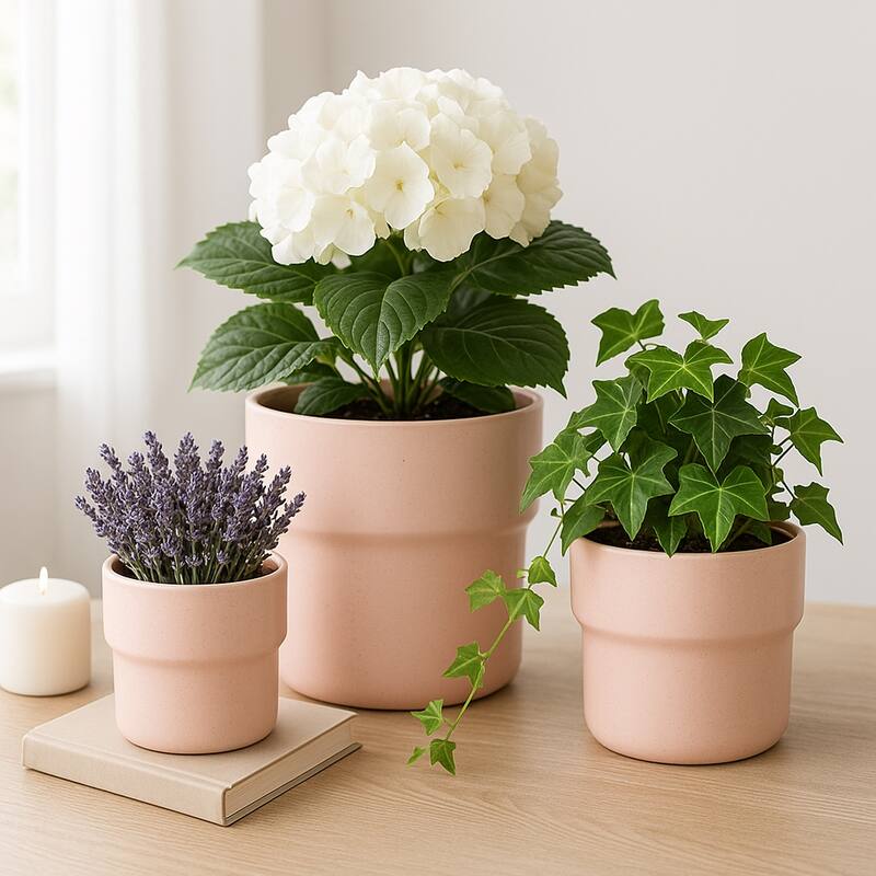 Ceramic Round Speckled Planters Set of 3 - Pink, 7/9/10 in.