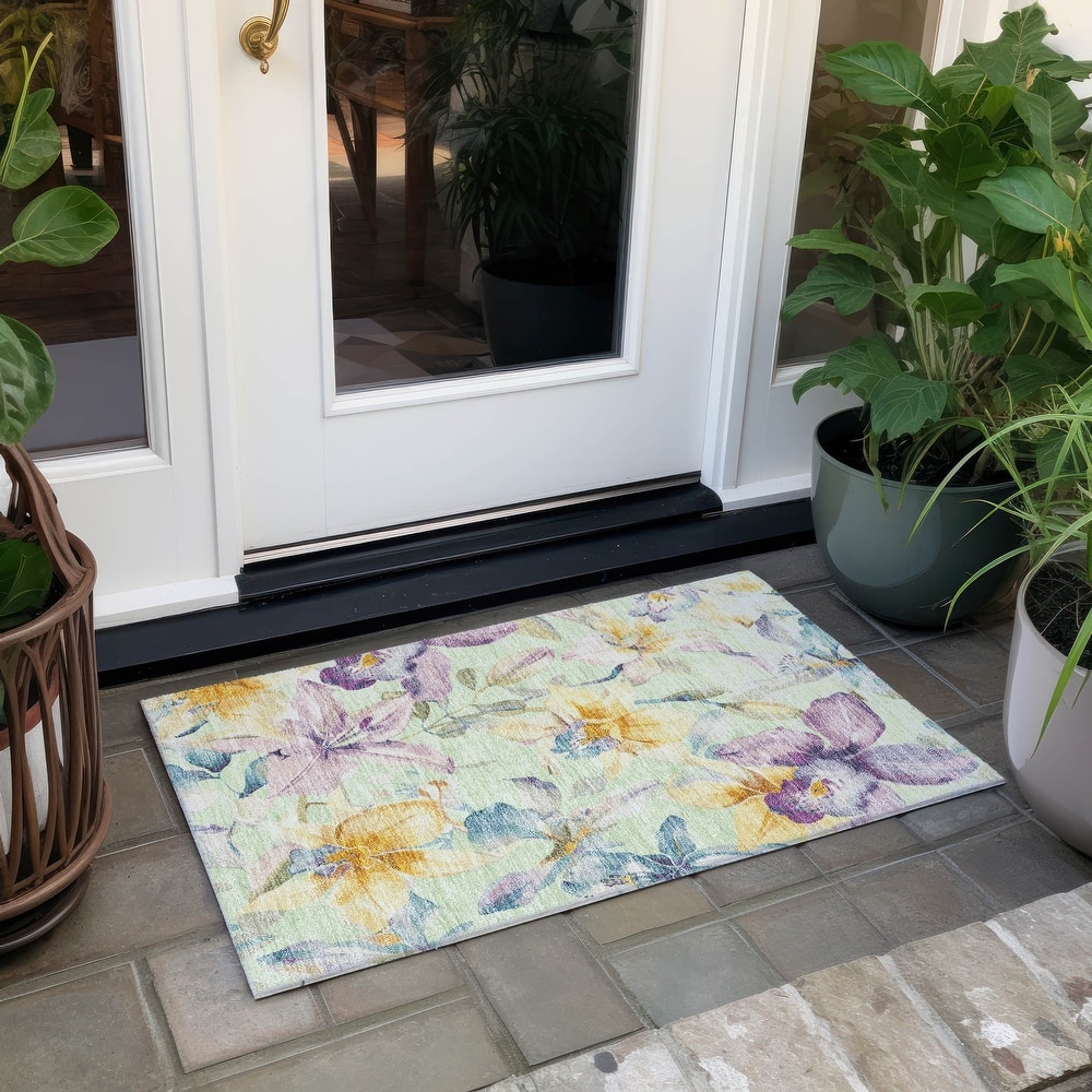 Machine Washable Indoor/ Outdoor Modern Floral Chantille Rug