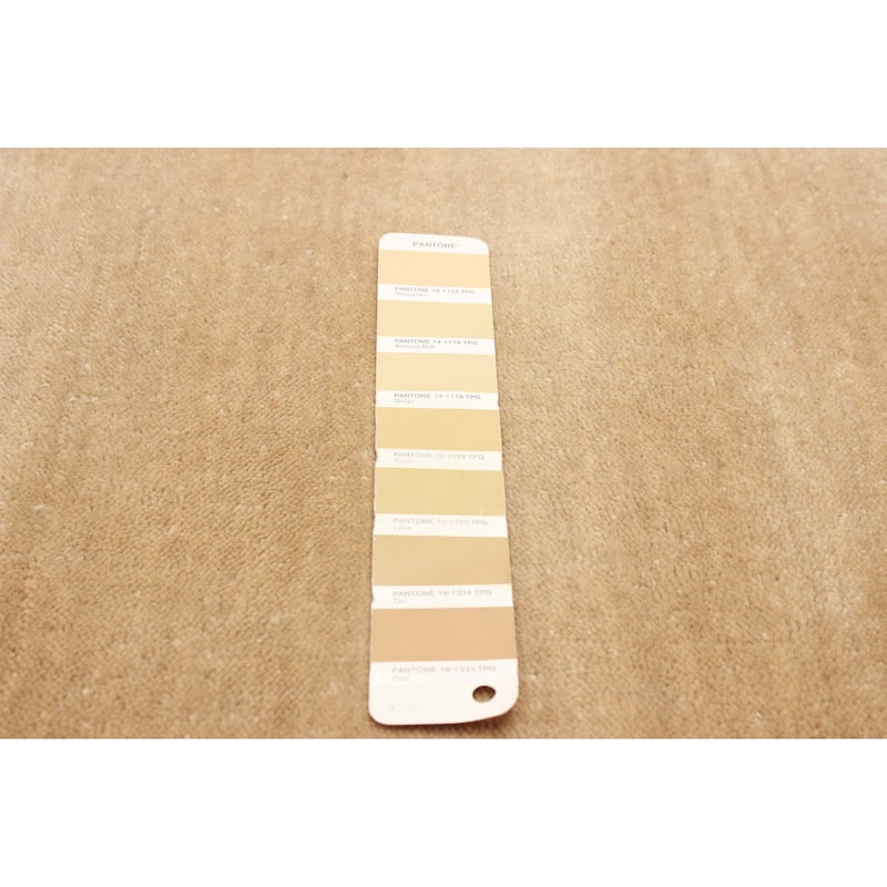 Kashkuli Gabbeh Beige Rug 3'11" x 5'5" - 3'11 x 5'5