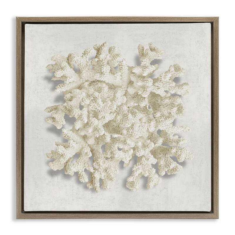 Stupell Aquatic Neutral Coral Framed Floater Canvas Wall Art Design By Caroline Kelly - 18 x 18 - Brown