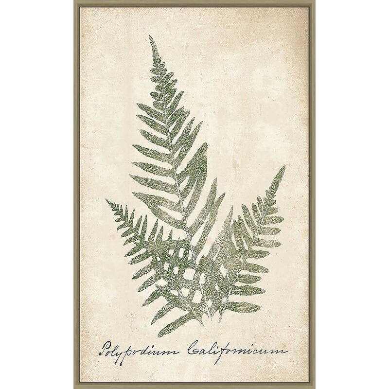 "Vintage Ferns XI" Print on Floating Canvas
