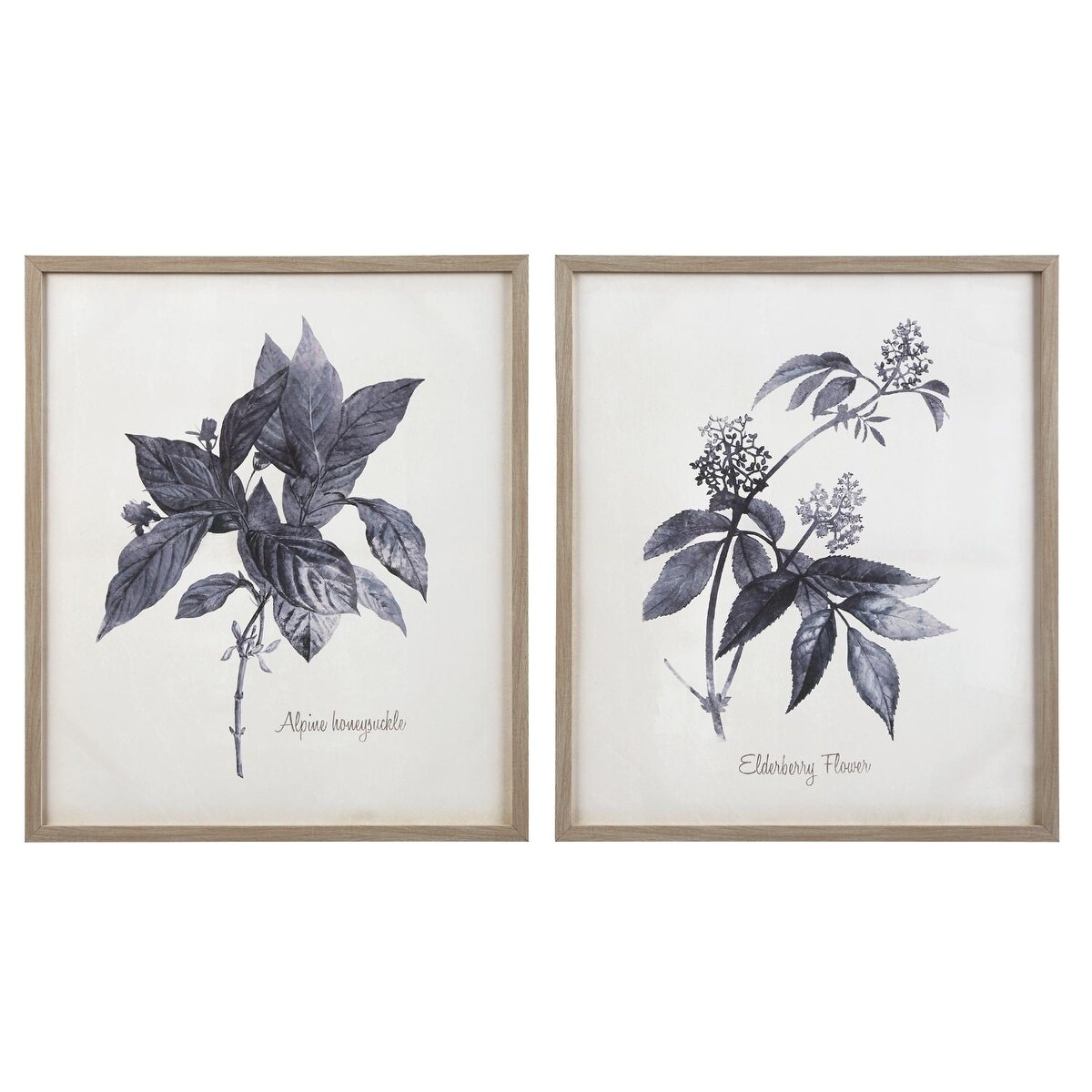 Shop Efren Botanical Framed Canvas Wall Art Set Set Of 2 Overstock 31243678
