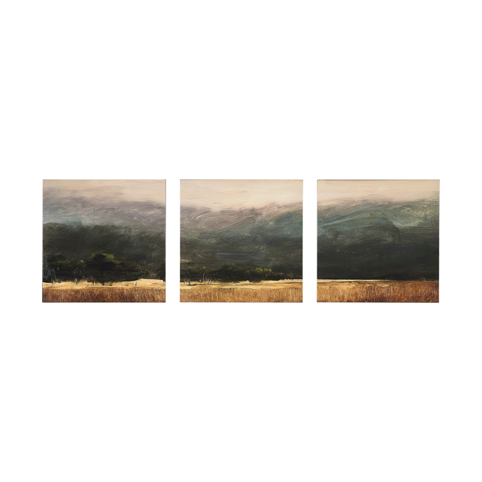Haze Landscape (Set of 3) (30 x 30) Canvas Art Print