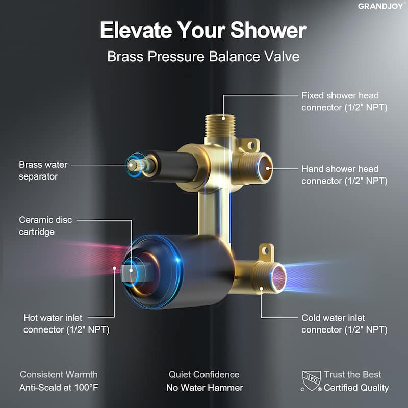 GRANDJOY 2-Function Rainfall Shower System with Handheld, Single Handle Wall-Mount Design