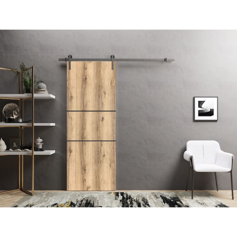 Sturdy Barn Door 36 x 80 Planum 0014 Oak with 6.6FT
