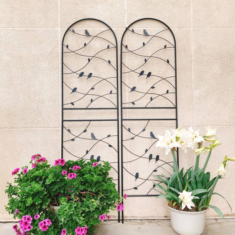 4 Pack Metal Garden Trellis 71" x 19.7" Rustproof Trellis for Climbing Plants Outdoor Flower Support Bird Deco