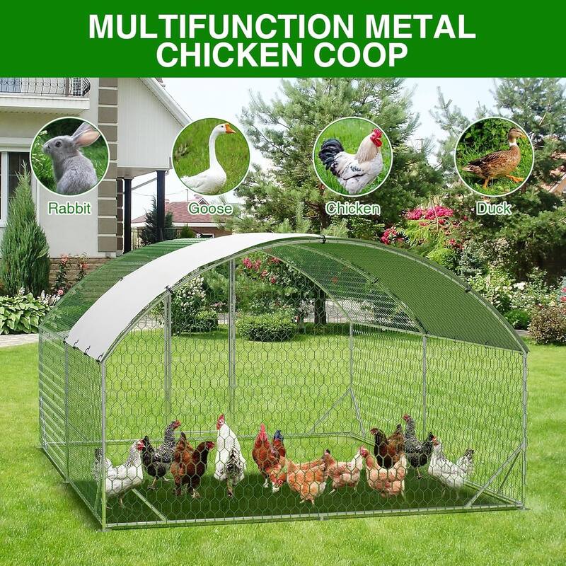 Large Walk-in Chicken Runs with Cover