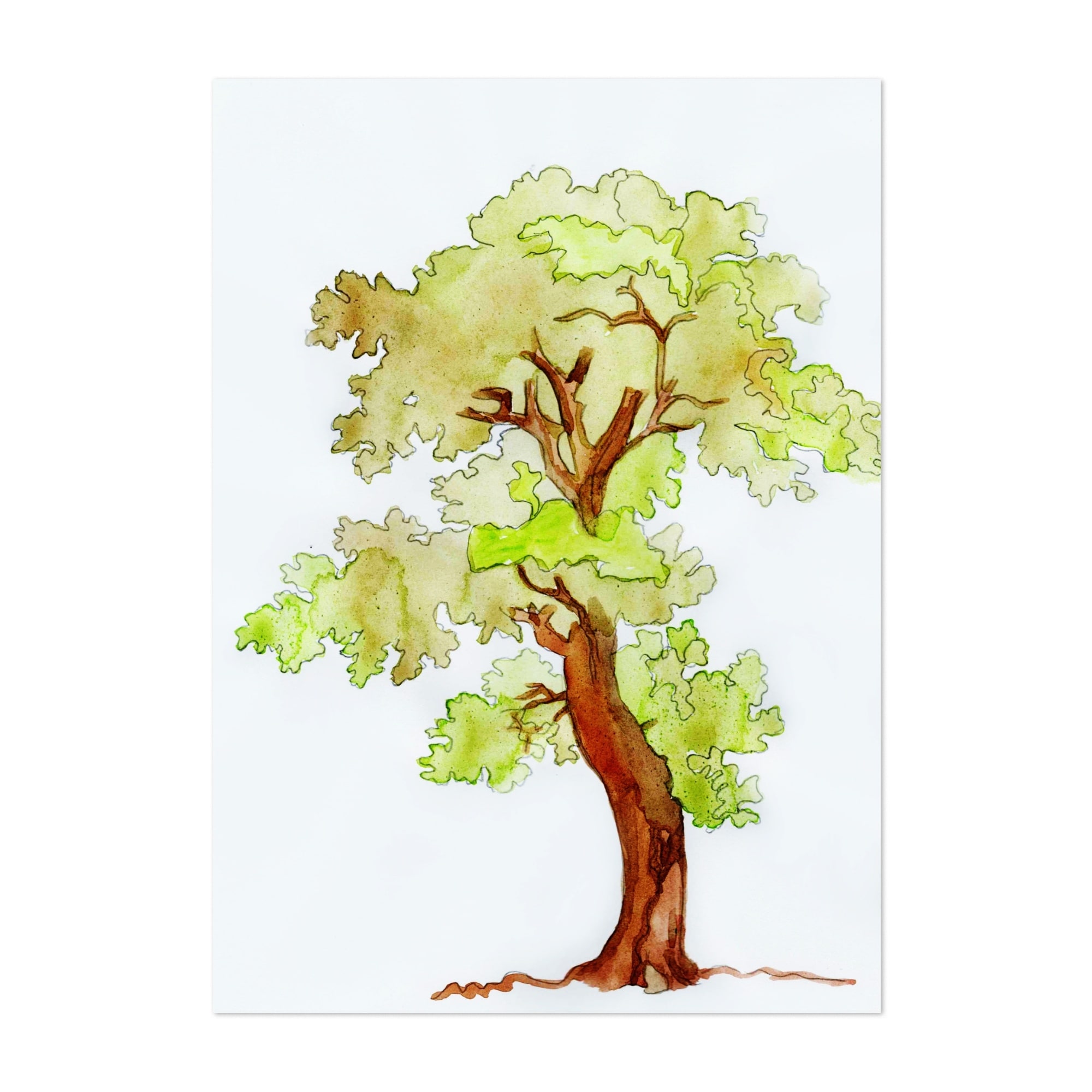flowering tree drawing
