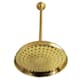 Option Brushed Brass