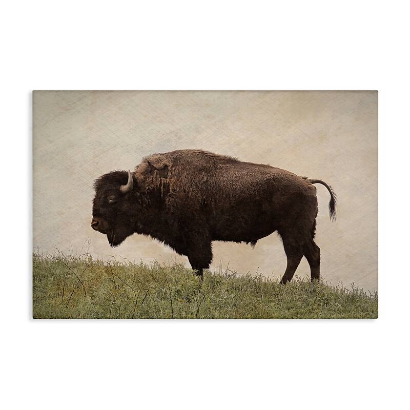 Stupell Serene Buffalo on Country Hill Canvas Wall Art Design By Steve Toole - 36 x 24