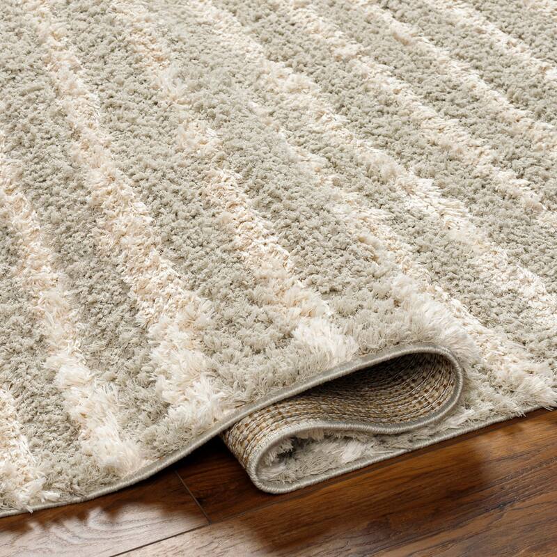 Maryland Shag Casual Solid Area Rug