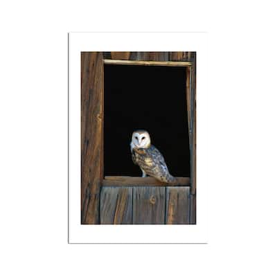 Barn Owl Perching On Barn Window Fine Art by Konrad Wothe - Multi