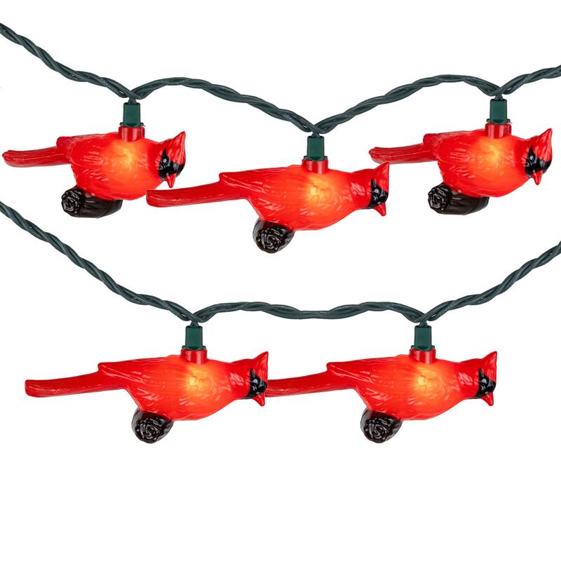 Cardinal Indoor Outdoor Patio Light Set - 6' Green Wire - 10ct