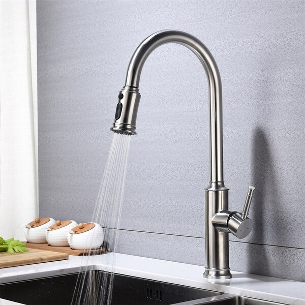 Stainless Steel Kitchen Faucet with Pull Out Spraye,Silver. Opens flyout.