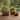 Decorative Round Planters - Set of 3, 14", 12", 9" - 14.0"