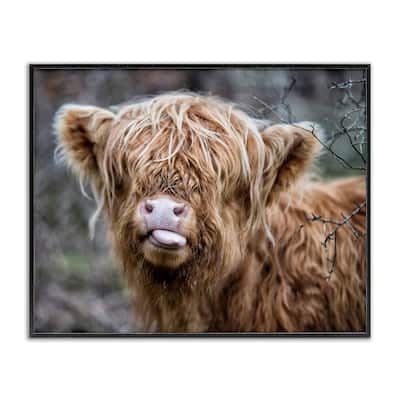 Stupell Baby Highland Calf Cattle Licking Lips Country Farmland Framed Wall Art, Design by James Dobson
