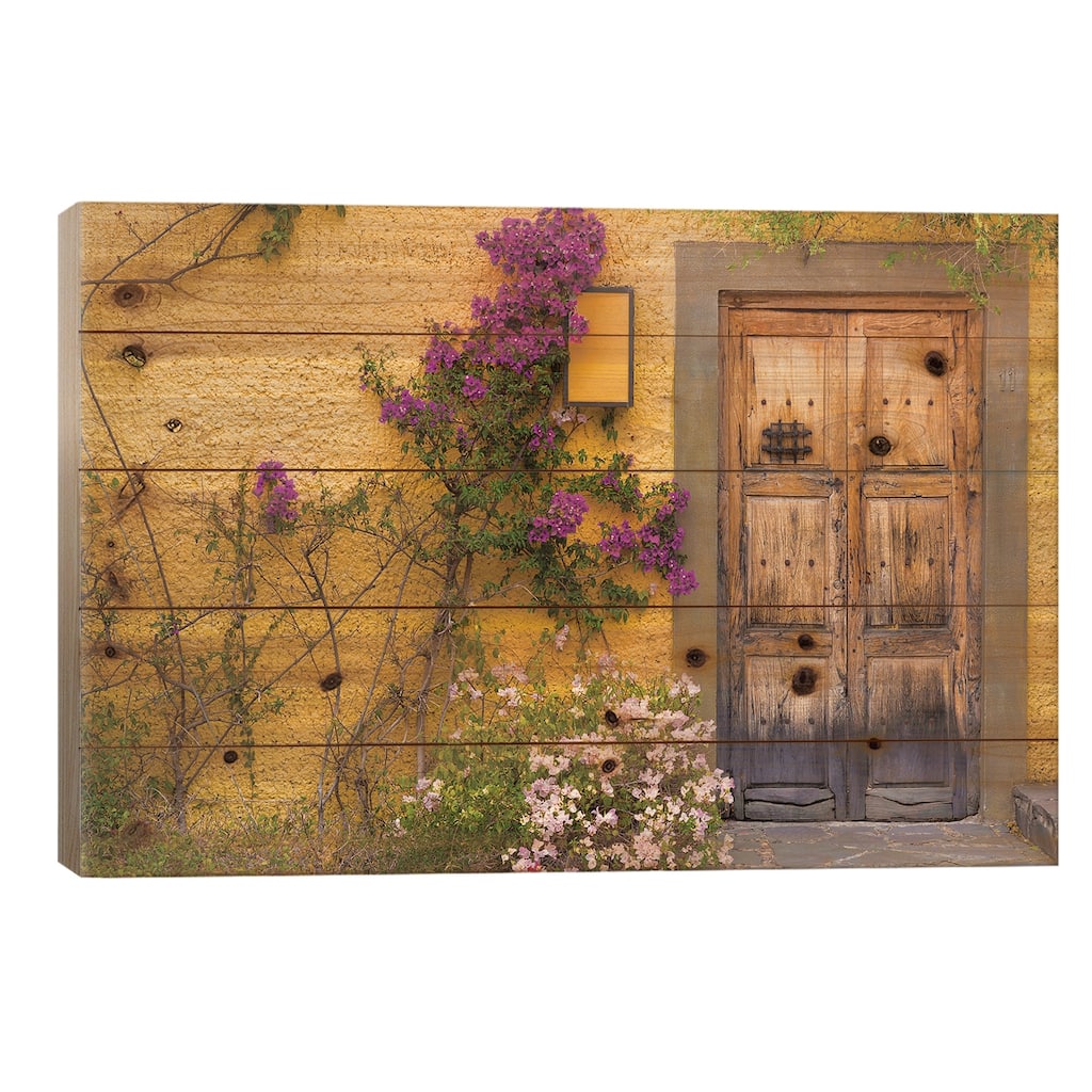 Bougainvillea Next To A Wooden Door, San Miguel de Allende, Guanajuato, Mexico Print On Wood by Don Paulson - Multi-Color