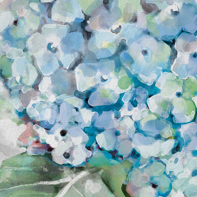Hydrangea Portraits II Canvas Art Print