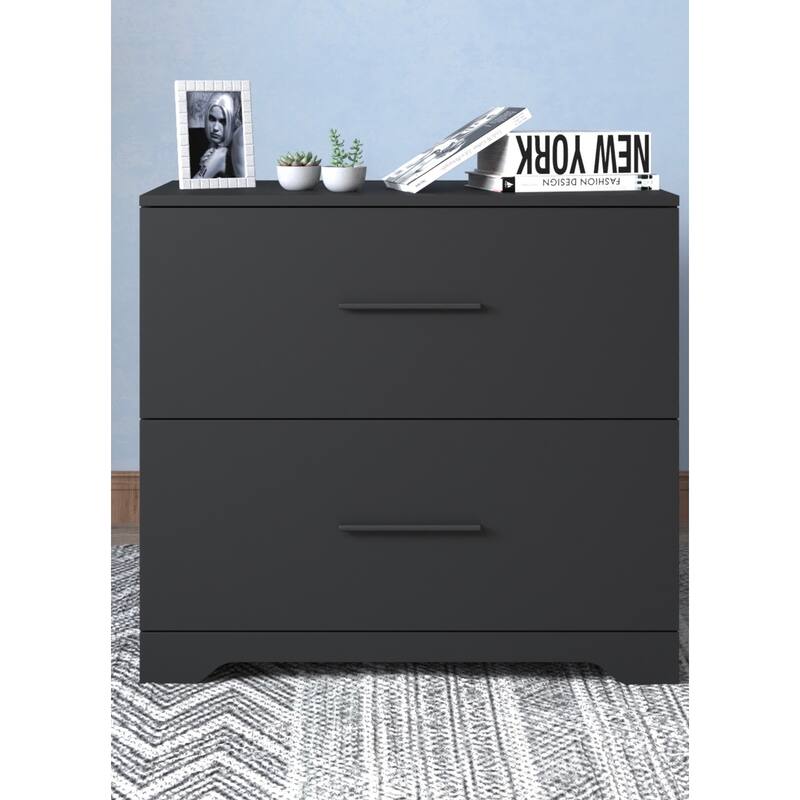 2 -Drawer Lateral Filing Cabinet,Storage Filing Cabinet for Home Office - Black