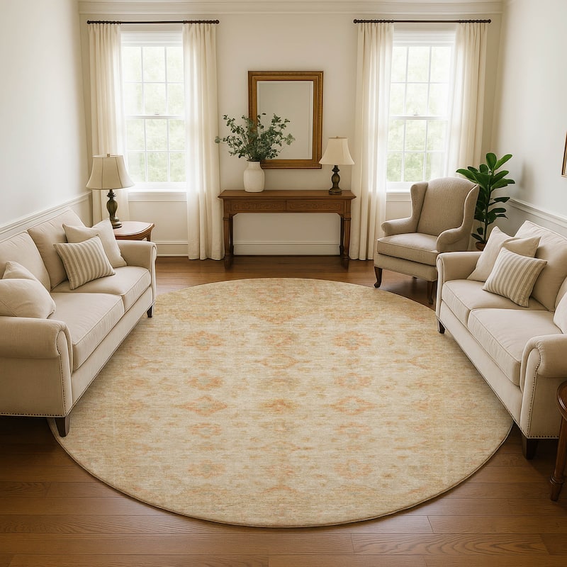 Premium Washable Super Soft Vintage Traditional Mayfield Rug - Beige - 8' x 8'