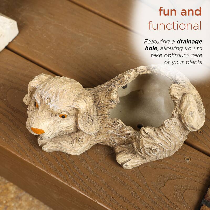 Dog Planter w/o Plants with Drainage Hole
