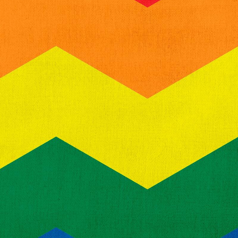 Pride Chevron Outdoor Throw Pillow