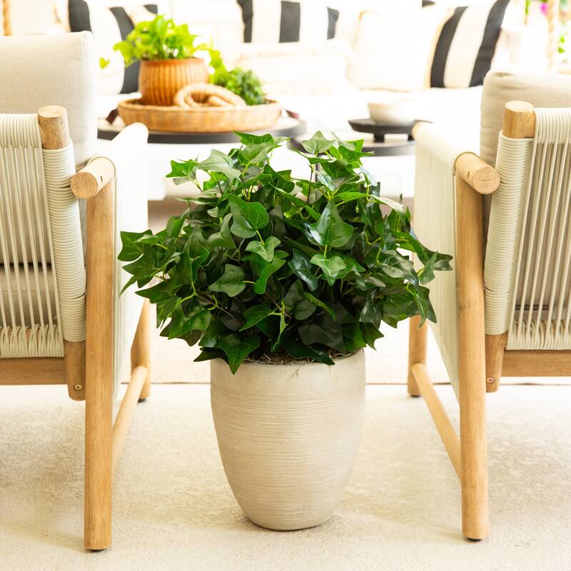 19-in UV Resistant Artificial Puff Ivy Bush - Set of 3