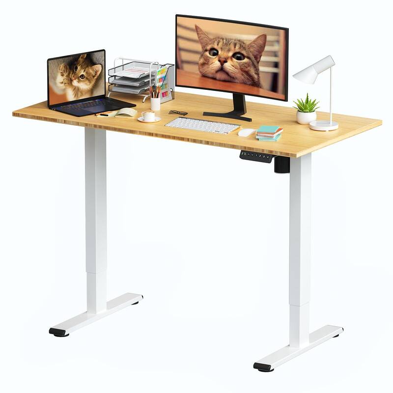 FlexiSpot 100% Bamboo Whole-Piece Desktop Ergonomic Electric Home Office Standing Desk Memory Controller