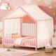 Option Pink