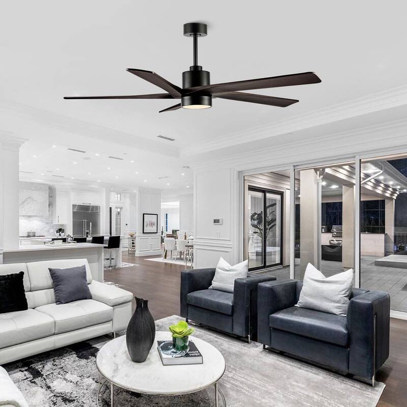 64 Inch DC Ceiling Fan with Lights and Remote Control, 5 Reversible Carved Wood Blades - N/A