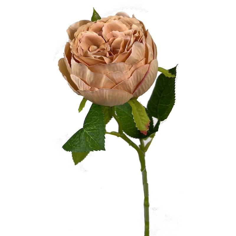 Toffee English Garden Rose Artificial Flower