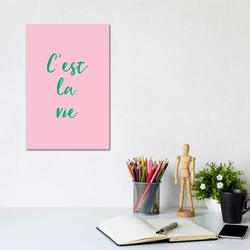 iCanvas "C'est La Vie Pink And Green" by Ruby and B Canvas Print - 12x8x0.75