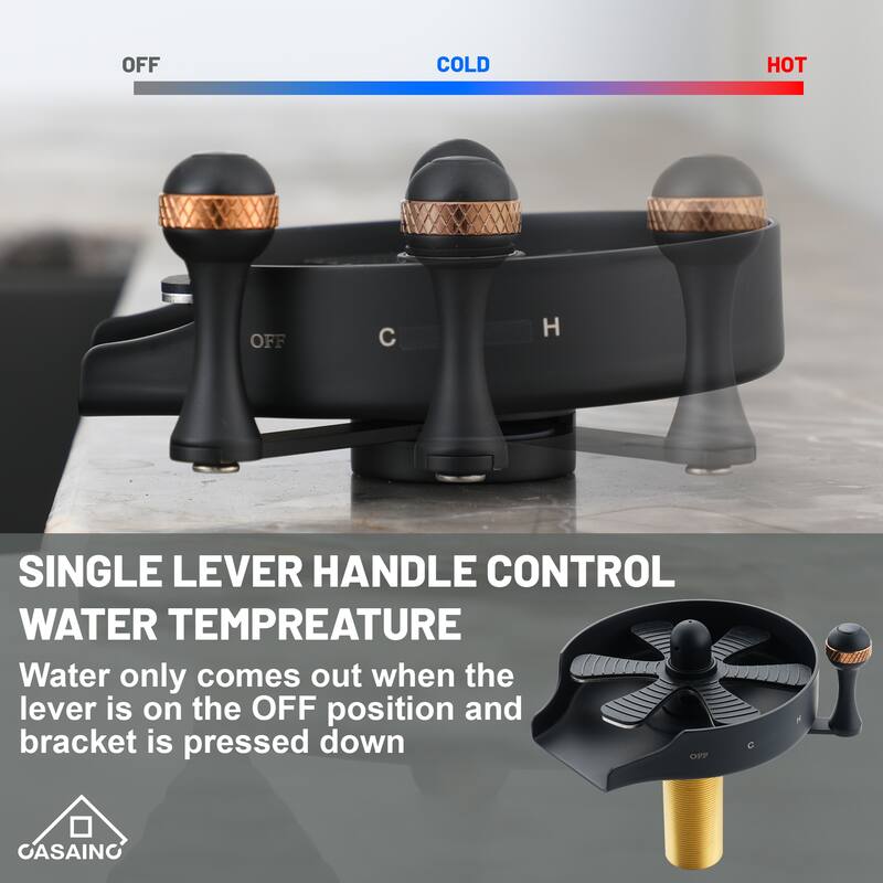 5 in. Kitchen Sink Hot and Cold Glass Rinser