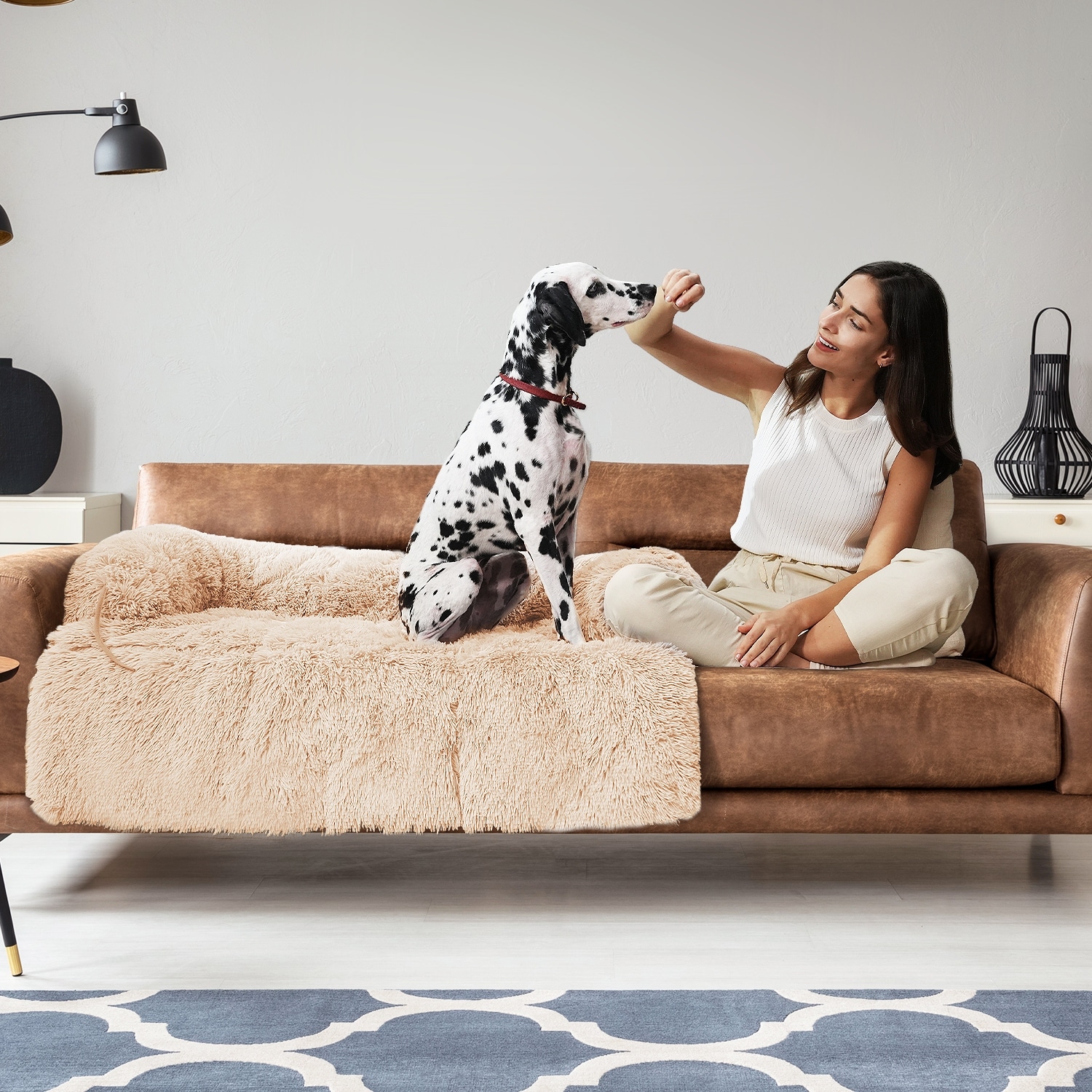Pet Beds Bed Bath Beyond