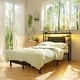 preview thumbnail 5 of 82, Headboards with Storage Shelves, Head Board with Power Outlet and LED Light for Bed Frame