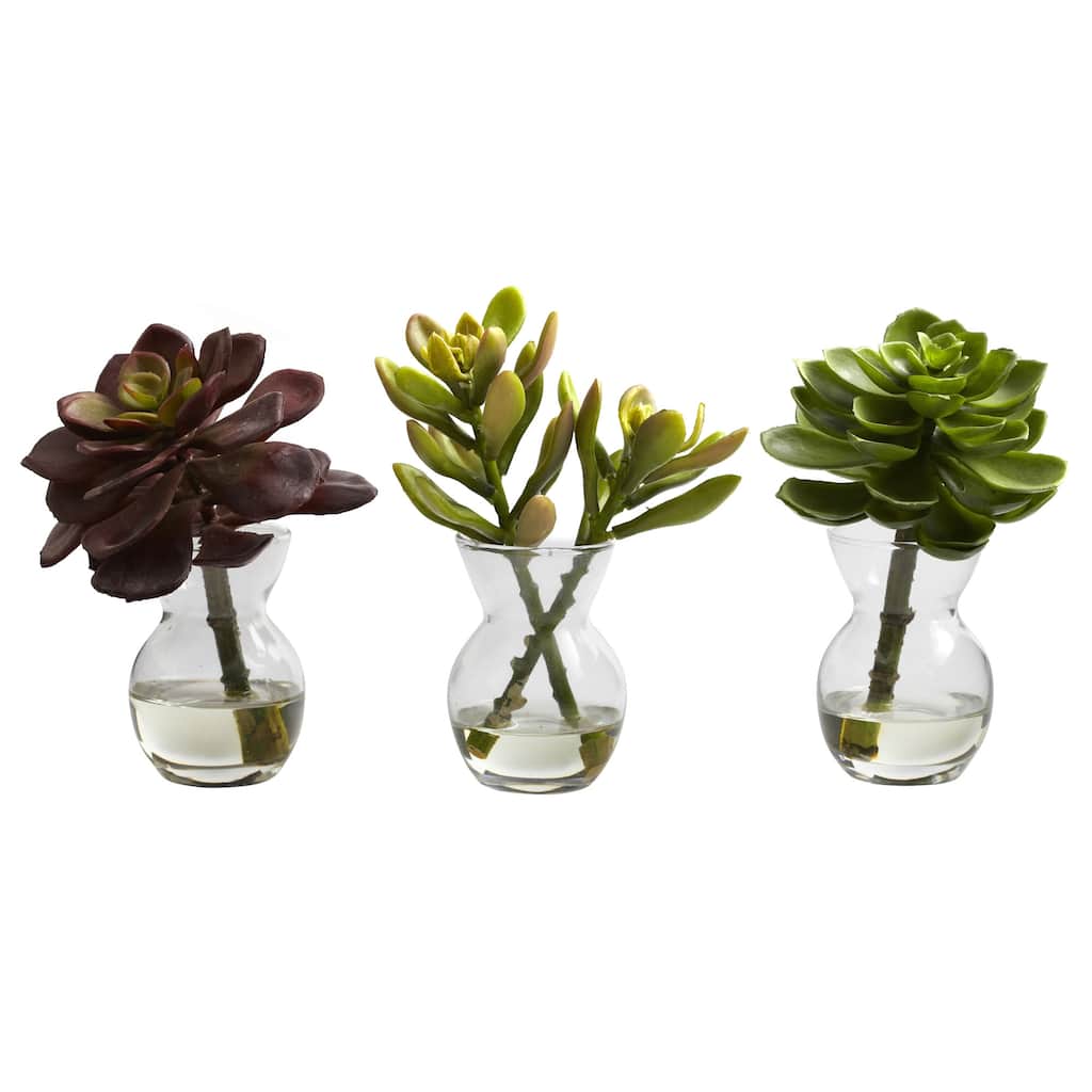 Set of 3 Succulent Artificial Flower Arrangements in Vases 6"