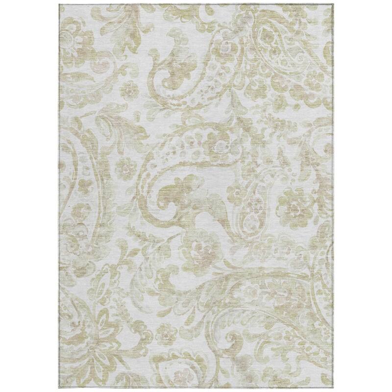 HomeRoots Paisley Transitional Rectangle Outdoor Rug
