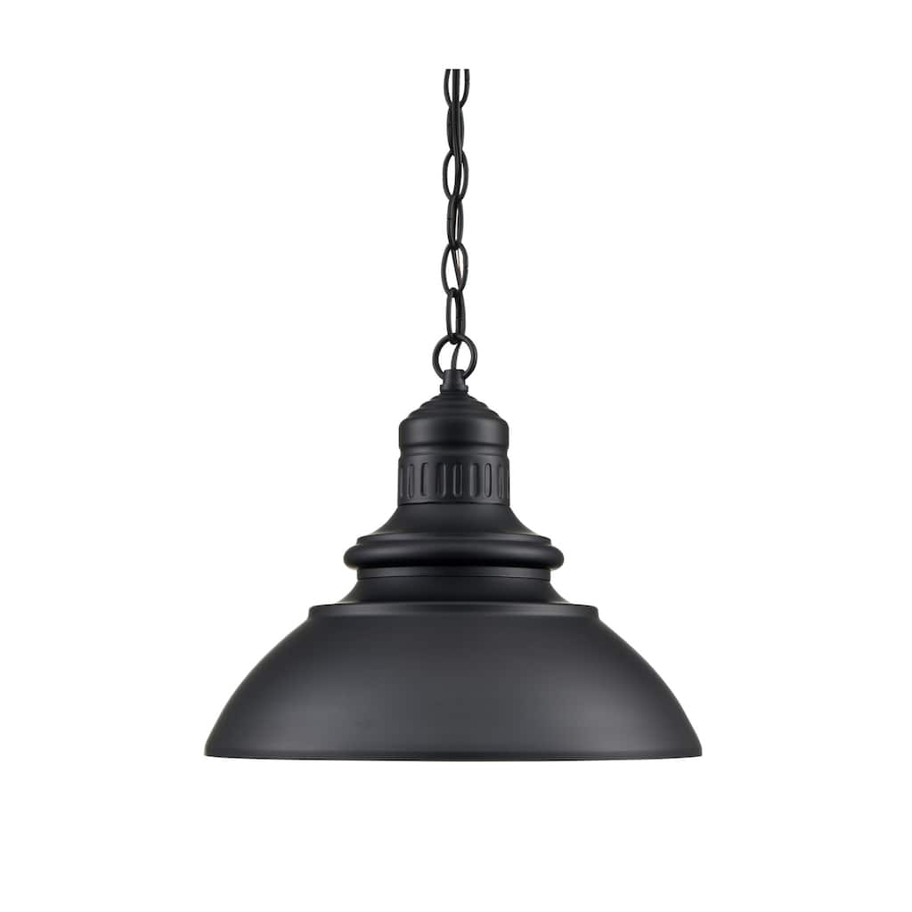 Millennium Lighting 81103 Adda 14" Wide Outdoor Pendant