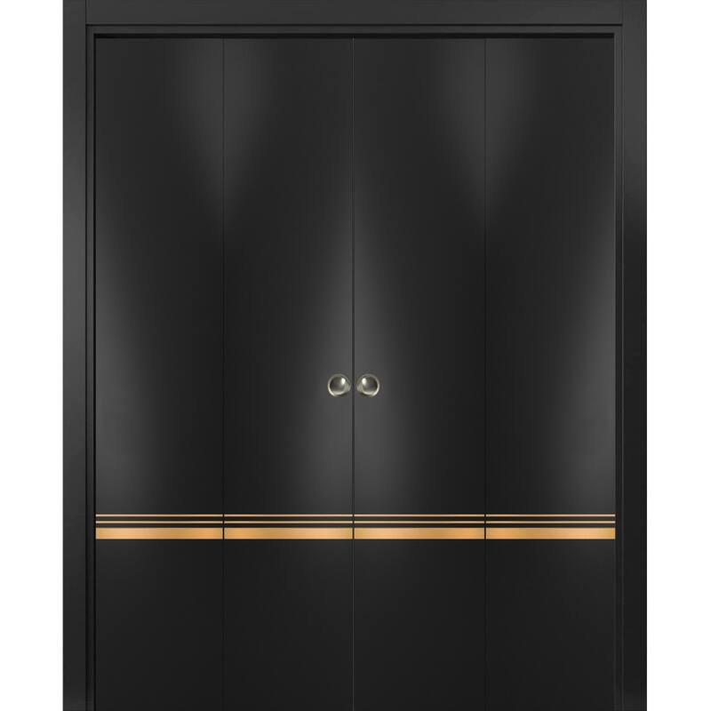 Double Bi-fold Doors Planum 2010 Matte Black with Sturdy Tracks - Black - 72" x 84" (4* 18x84)