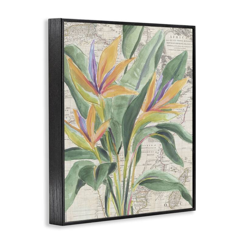 Stupell Bird of Paradise over Map Framed Giclee Art Design By June Erica Vess