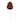 Large Natural Pine Cone Pick, Set of 12 - 10
