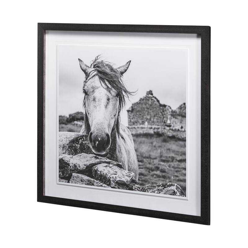 Ireland Black & White Framed Art Print
