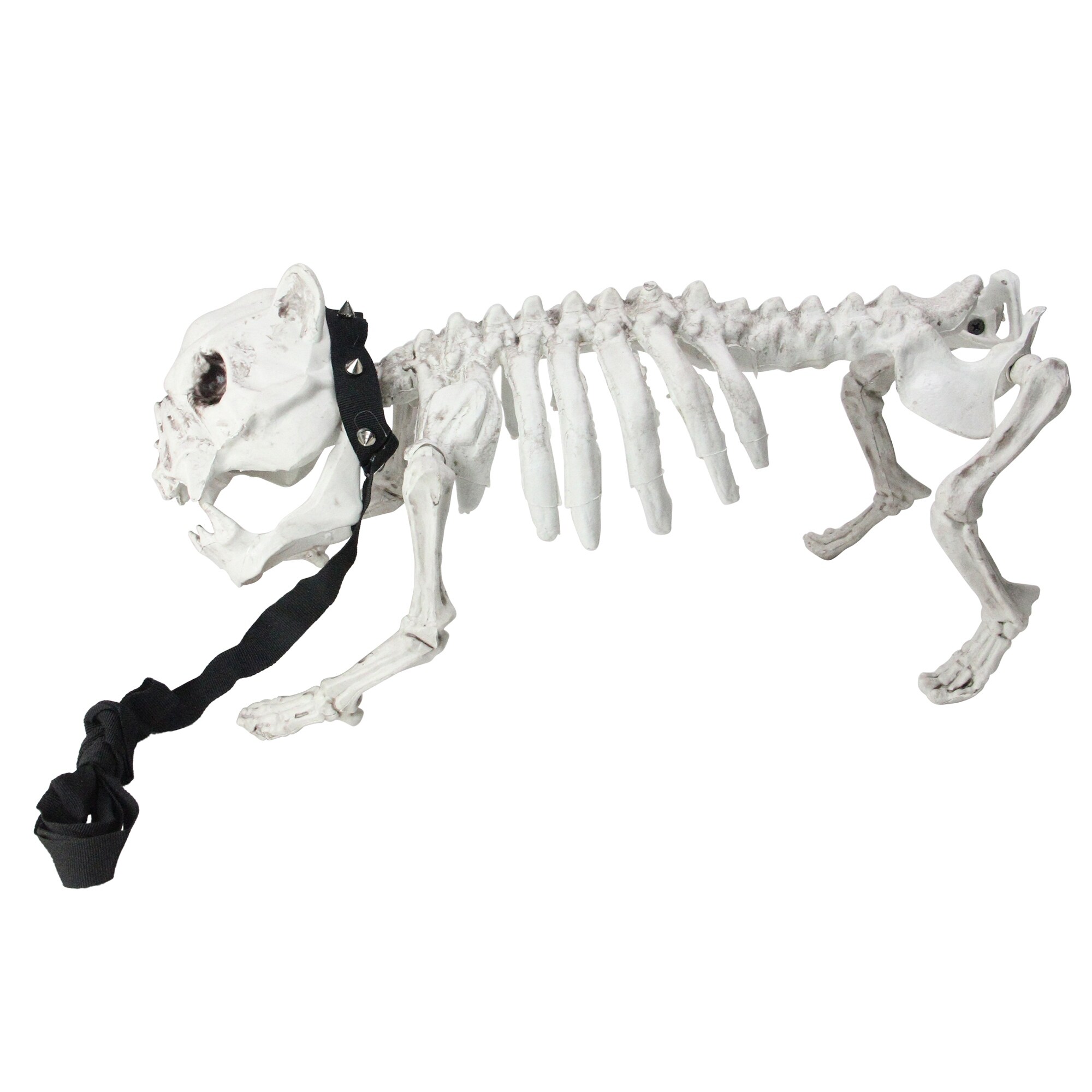 Shop 16 Gray And White Dog Skeleton On Leash Outdoor Halloween