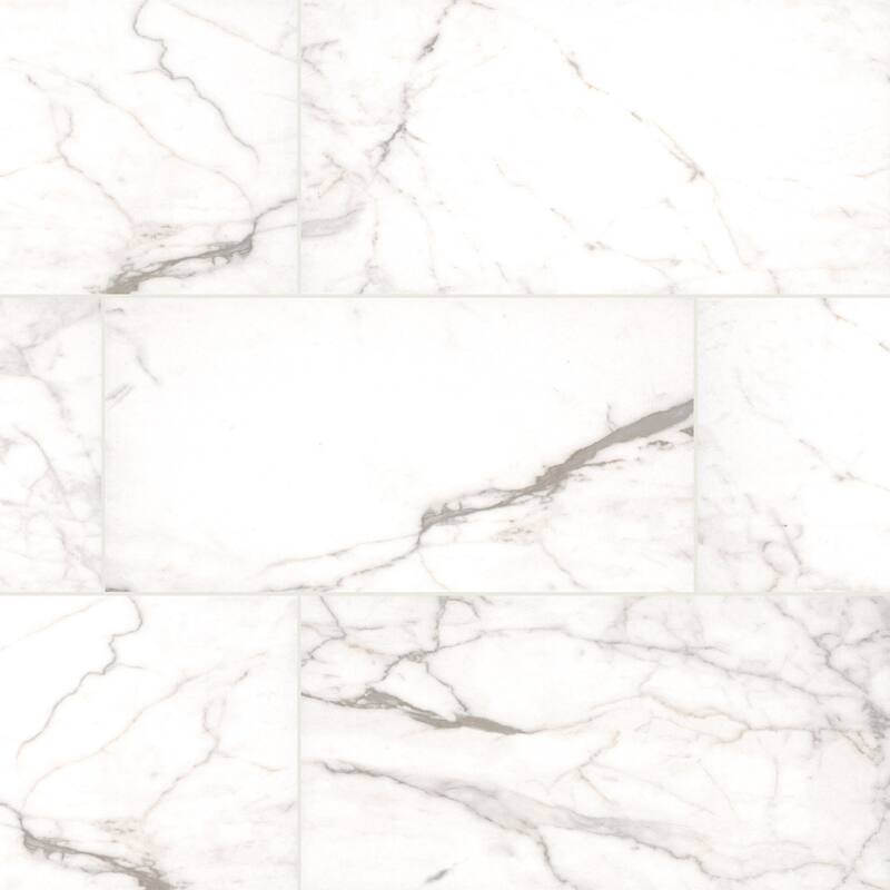 Ackland AKNPTLEG12X24M-PL Legacy - 12" x 24" Ceramic Solid Tile - - Arclina