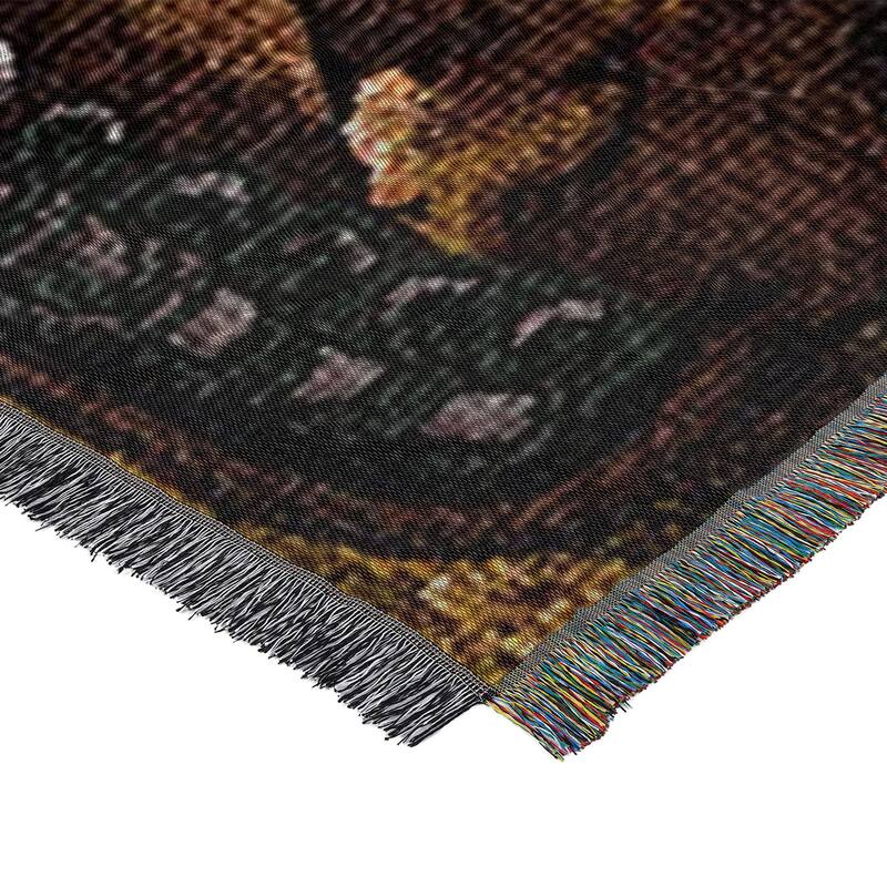 MLB Woven Tapestry Throw Blanket