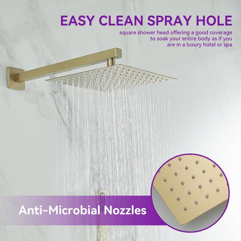 WIZ 2-Spray 10 in. Wall Mount Shower Head System Shower Faucet