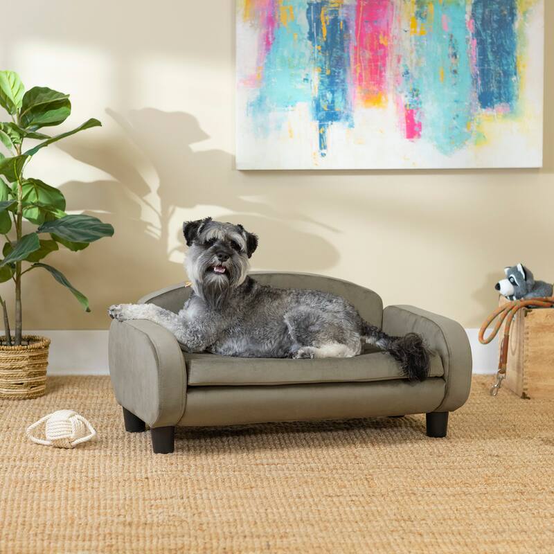 Paws & Purrs Modern Pet Sofa Bed Low-Back Lounger for Dogs & Cats – Removable Washable Mattress Cover - Small - Arabella Ash