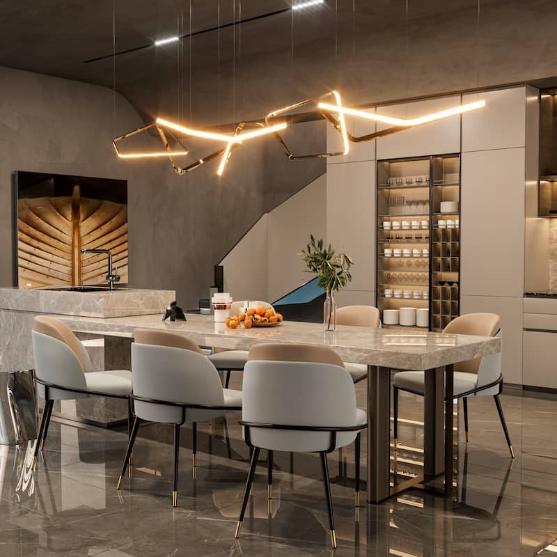 Set of 2 Kitchen Leather Two Toned Leisure Upholstered Seat Dining Room Chairs with Metal Legs