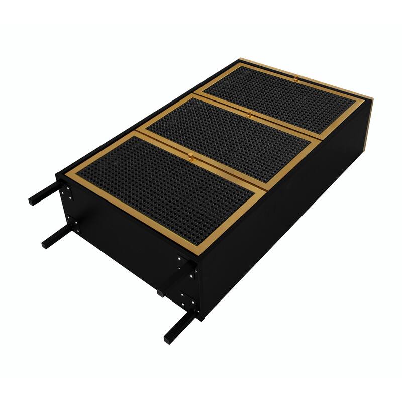Modern Freestanding Shoe Storage Cabinet with 3 Metal Doors